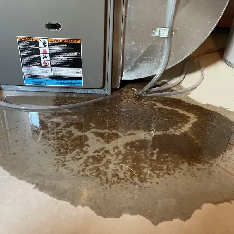 Appliance Leak Cleanup in Craighead County, AR